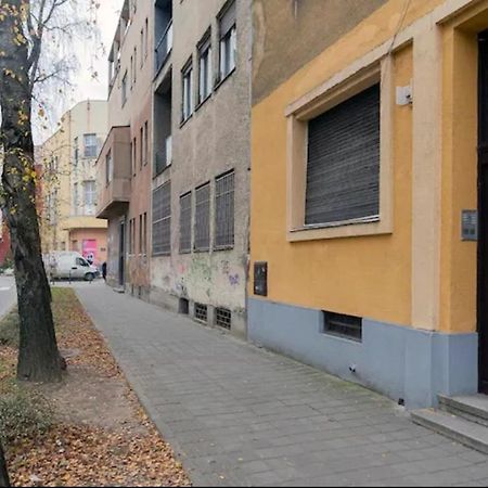 New Studio In The City Center Novi Sad Eksteriør billede